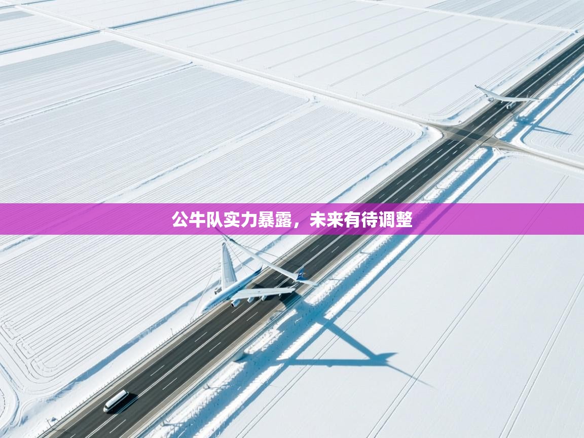 爱体育游戏网站-公牛队实力暴露，未来有待调整  第1张