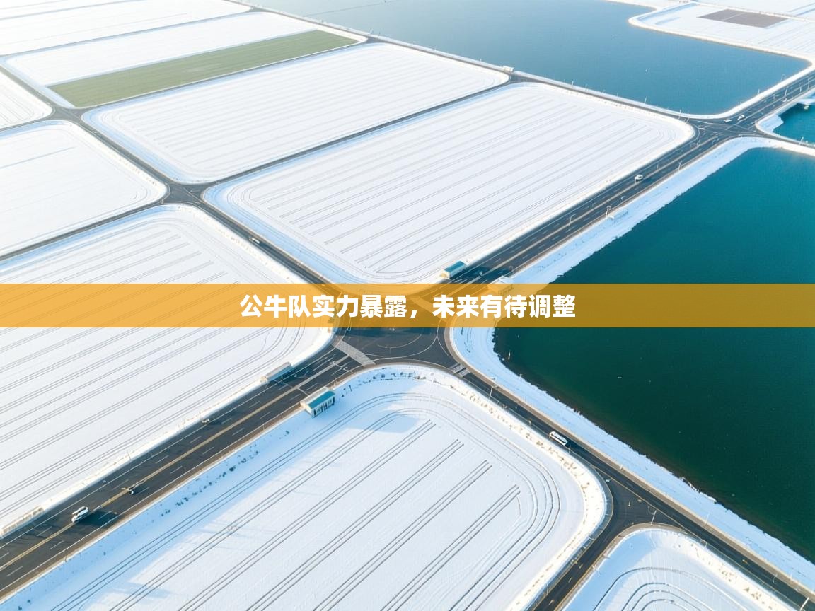 爱体育游戏网站-公牛队实力暴露，未来有待调整  第2张