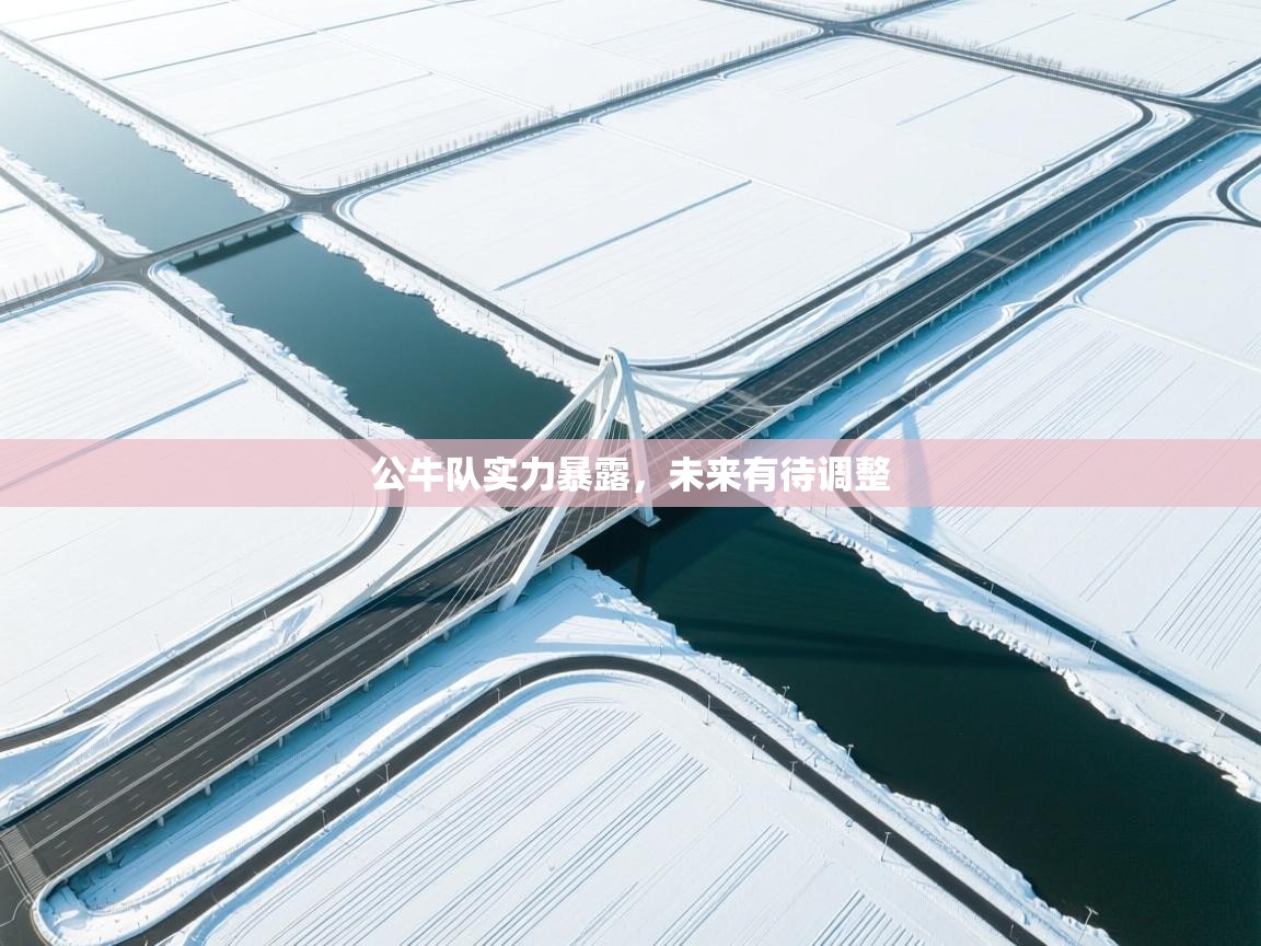 爱体育游戏网站-公牛队实力暴露，未来有待调整  第3张