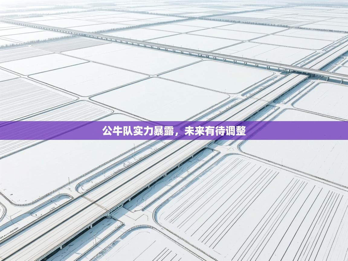 爱体育游戏网站-公牛队实力暴露，未来有待调整  第4张