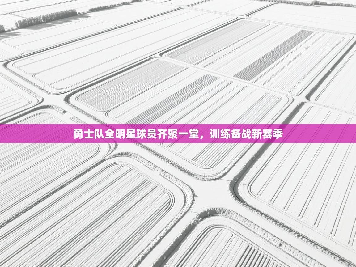 爱游戏体育下载-勇士队全明星球员齐聚一堂，训练备战新赛季  第4张