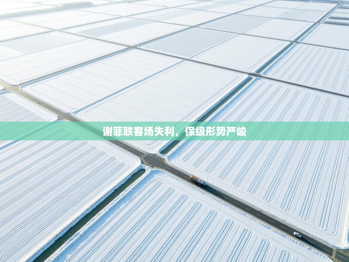 爱游戏体育下载-谢菲联客场失利，保级形势严峻  第1张