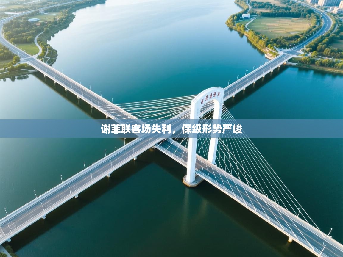 爱游戏体育下载-谢菲联客场失利，保级形势严峻  第4张