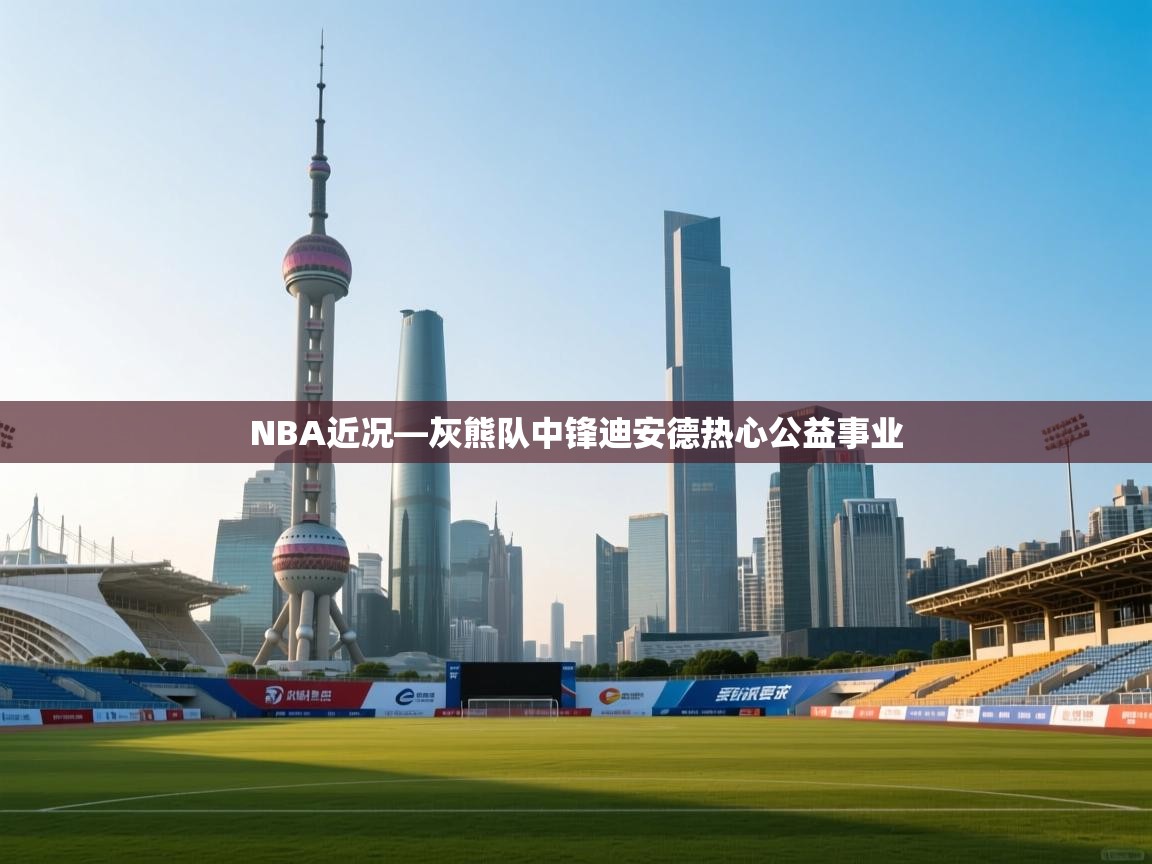 爱游戏体育在线app-NBA近况—灰熊队中锋迪安德热心公益事业 第1张