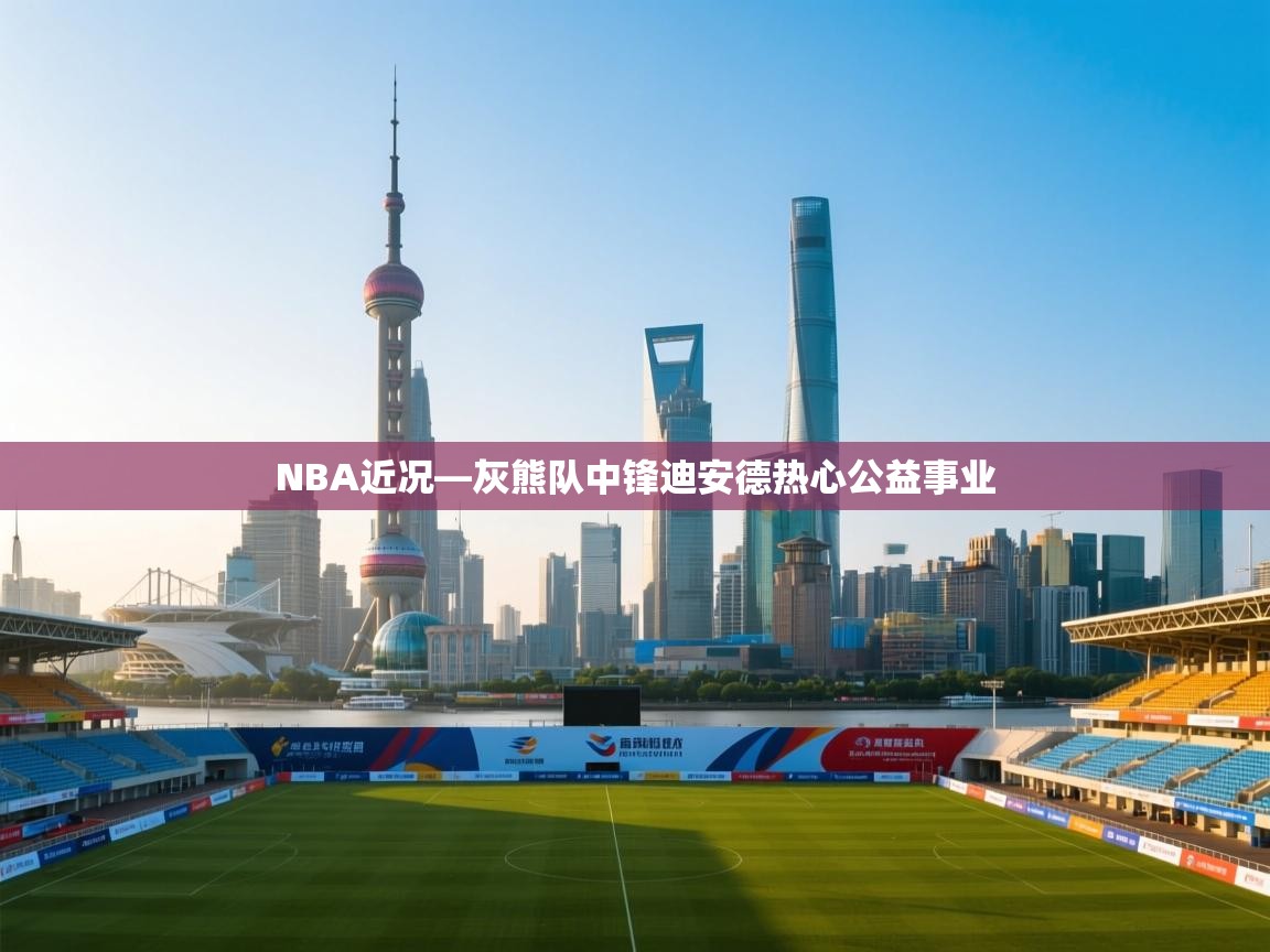 爱游戏体育在线app-NBA近况—灰熊队中锋迪安德热心公益事业 第2张