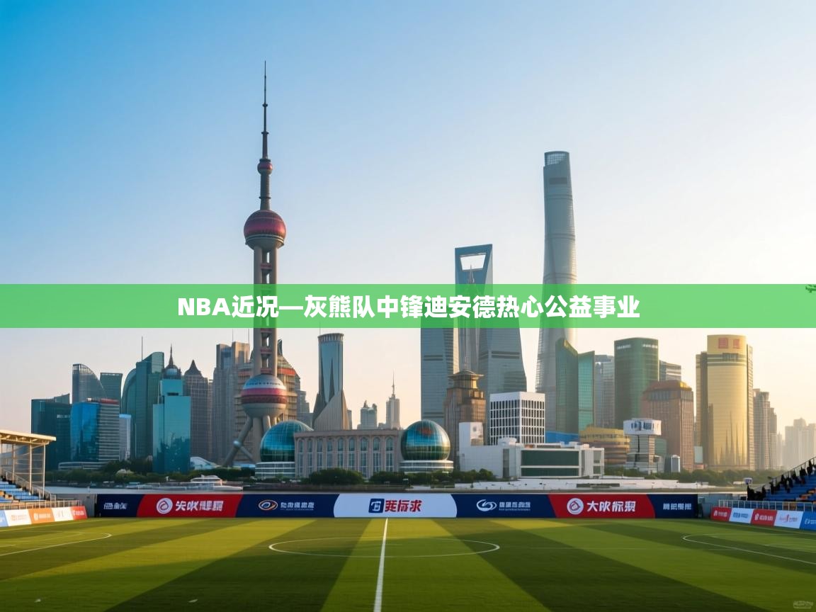 爱游戏体育在线app-NBA近况—灰熊队中锋迪安德热心公益事业 第4张